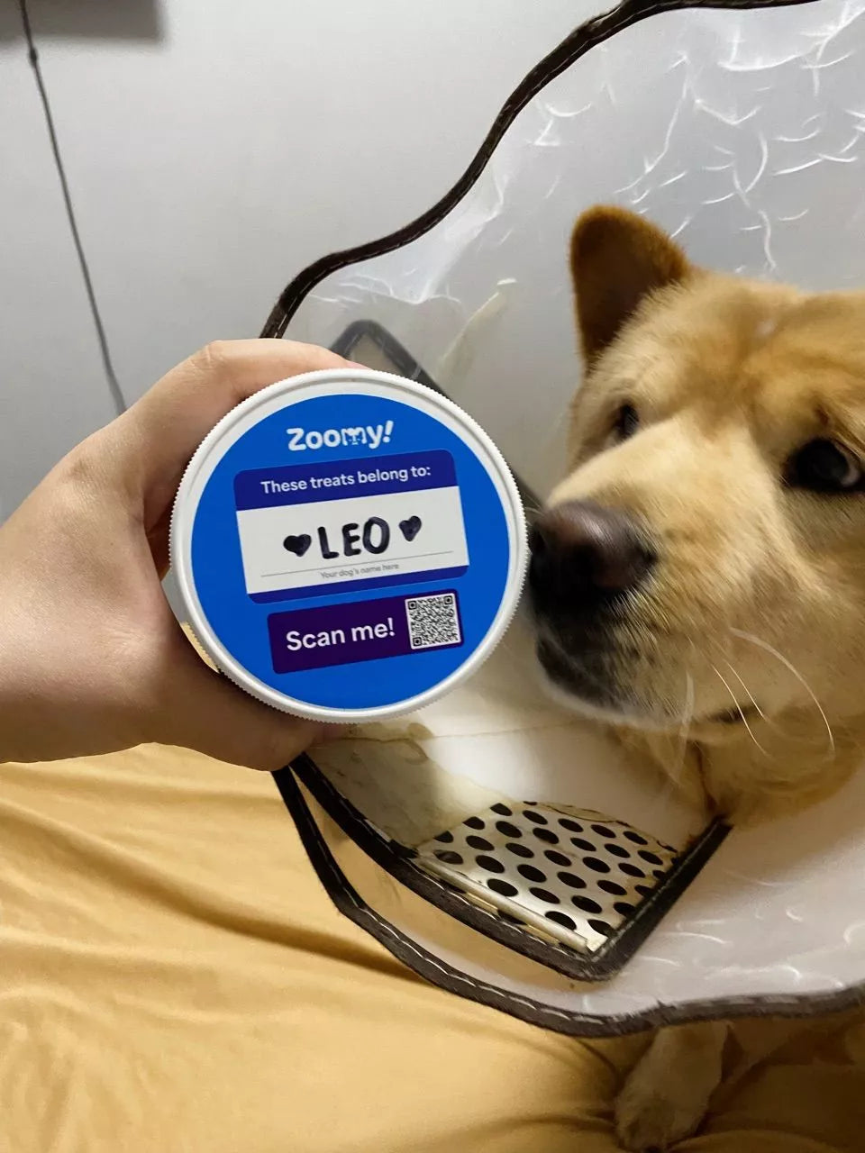 kplreyes's pet